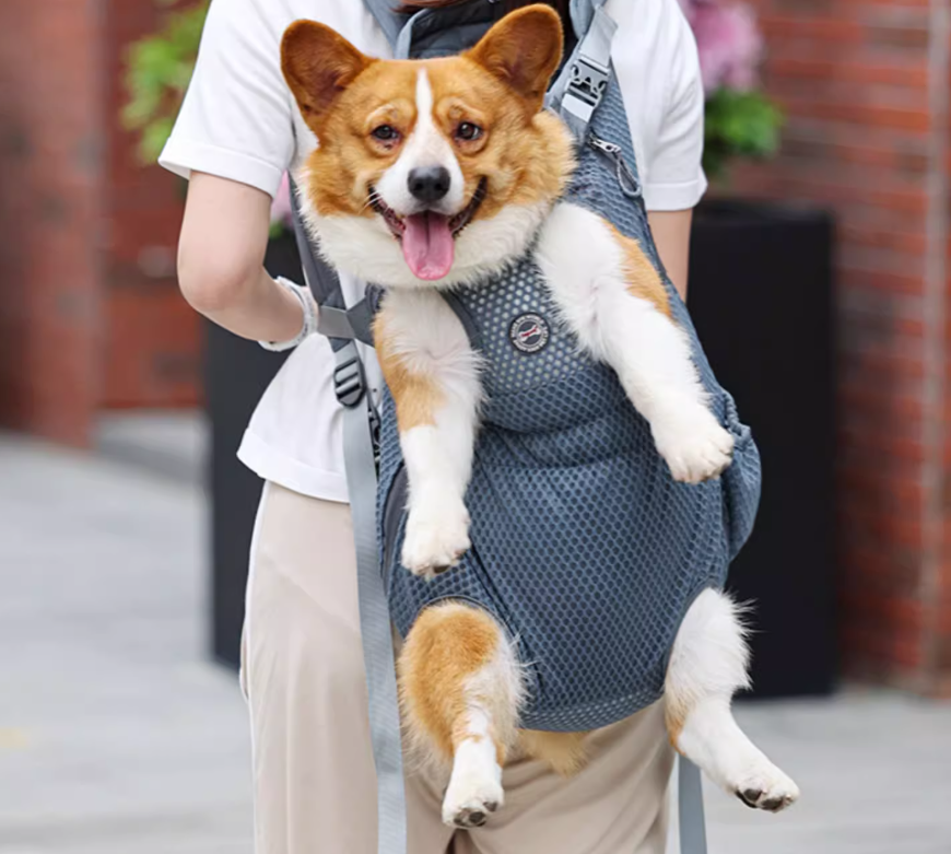 BAGS BAGS